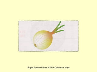 Ángel Puente Pérez. CEPA Colmenar Viejo
 