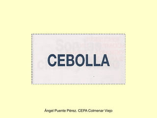 Ángel Puente Pérez. CEPA Colmenar Viejo
 