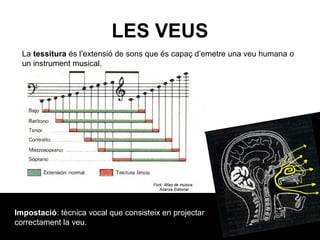 LES VEUS
Impostació: tècnica vocal que consisteix en projectar
correctament la veu.
La tessitura és l’extensió de sons que és capaç d’emetre una veu humana o
un instrument musical.
 