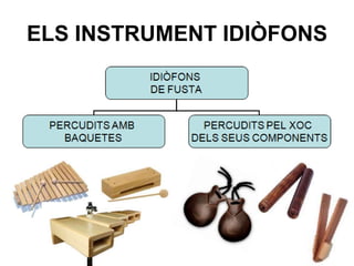 ELS INSTRUMENT IDIÒFONS
 