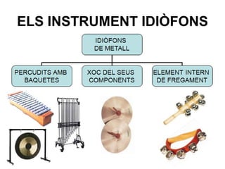 ELS INSTRUMENT IDIÒFONS
 