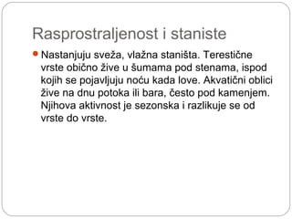 Rasprostraljenost i staniste
Nastanjuju sveža, vlažna staništa. Terestične
vrste obično žive u šumama pod stenama, ispod
kojih se pojavljuju noću kada love. Akvatični oblici
žive na dnu potoka ili bara, često pod kamenjem.
Njihova aktivnost je sezonska i razlikuje se od
vrste do vrste.
 