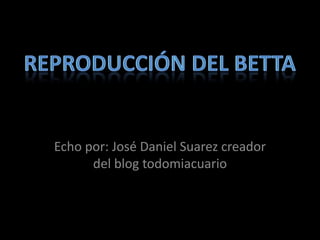 Echo por: José Daniel Suarez creador
      del blog todomiacuario
 