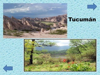 Tucumán
 