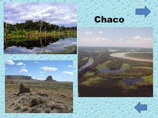 Chaco
 