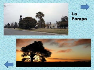 La
Pampa
 