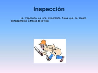La Inspección es una exploración física que se realiza
principalmente a través de la vista.
 