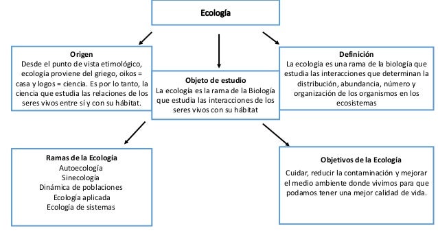 Dinámica De Poblaciones Mapa Conceptual TONG ILMU