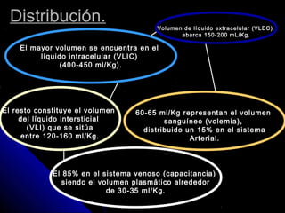 Distribución.Distribución.
El resto constituye el volumen
del líquido intersticial
(VLI) que se sitúa
entre 120-160 ml/Kg.
El 85% en el sistema venoso (capacitancia)
siendo el volumen plasmático alrededor
de 30-35 ml/Kg.
60-65 ml/Kg representan el volumen
sanguíneo (volemia),
distribuido un 15% en el sistema
Arterial.
Volumen de líquido extracelular (VLEC)
abarca 150-200 mL/Kg.
El mayor volumen se encuentra en el
líquido intracelular (VLIC)
(400-450 ml/Kg).
 
