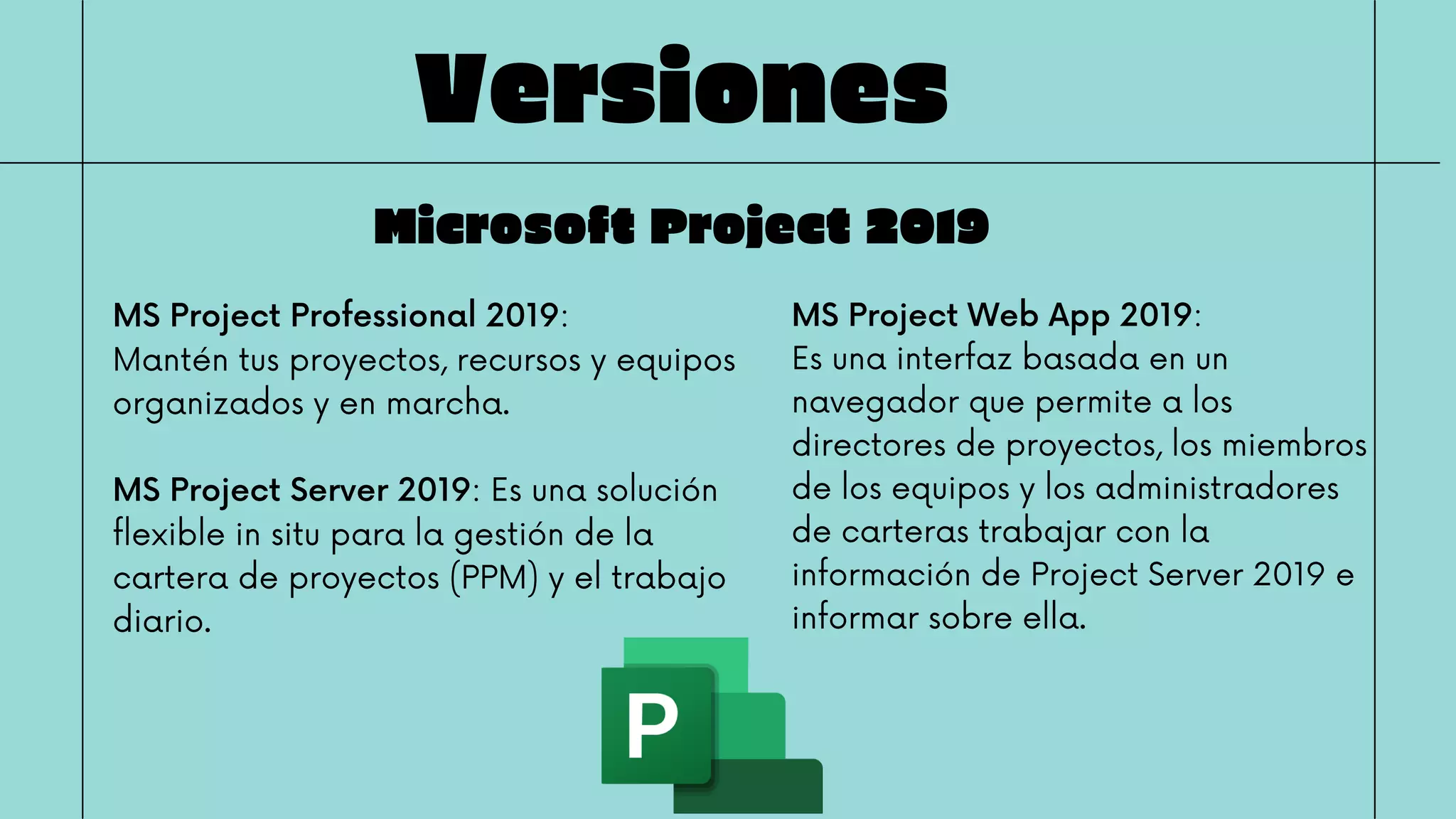 microsoft project | PPT