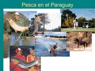Pesca en el Paraguay,[object Object]