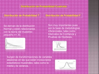 Distribución de Probabilidad Cuadrada 
Distribución de Probabilidad T Distribución de Probabilidad F 
Se derivan de la distribución 
Normal y están relacionadas 
con la teoría del muestreo 
pequeño n< 30. 
Son muy importantes pues 
son la base de metodologías 
inferenciales, tales como 
Intervalos de Confianza y 
Pruebas de Hipótesis. 
Surgen de transformaciones de variables 
aleatorias en las que están involucrados 
estadísticos muestrales, tales como la 
media y la varianza. 
 