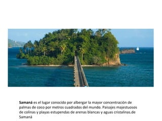Samaná es el lugar conocido por albergar la mayor concentración de 
palmas de coco por metros cuadrados del mundo. Paisajes majestuosos 
de colinas y playas estupendas de arenas blancas y aguas cristalinas.de 
Samaná
 