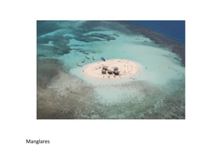 Manglares
 