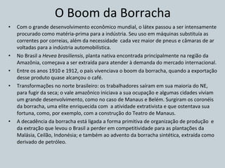 O Boom da Borracha Com o grande desenvolvimento econômico mundial, o látex passou a ser intensamente procurado como matéria-prima para a indústria. Seu uso em máquinas substituía as correntes por correias, além da necessidade  cada vez maior de pneus e câmaras de ar voltadas para a indústria automobilística. No Brasil a  Hevea brasiliensis , planta nativa encontrada principalmente na região da Amazônia, começava a ser extraída para atender à demanda do mercado internacional. Entre os anos 1910 e 1912, o país vivenciava o boom da borracha, quando a exportação desse produto quase alcançou o café. Transformações no norte brasileiro: os trabalhadores saíram em sua maioria do NE, para fugir da seca; o vale amazônico iniciava a sua ocupação e algumas cidades viviam um grande desenvolvimento, como no caso de Manaus e Belém. Surgiram os coronéis da borracha, uma elite enriquecida com  a atividade extrativista e que ostentava sua fortuna, como, por exemplo, com a construção do Teatro de Manaus. A decadência da borracha está ligada a forma primitiva de organização de produção  e da extração que levou o Brasil a perder em competitividade para as plantações da Malásia, Ceilão, Indonésia; e também ao advento da borracha sintética, extraída como derivado de petróleo. 