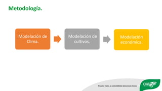 Impacto del Cambio Climático en la Agricultura de República Dominicana