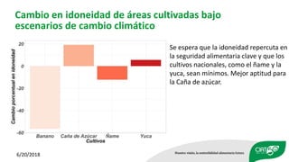 Impacto del Cambio Climático en la Agricultura de República Dominicana