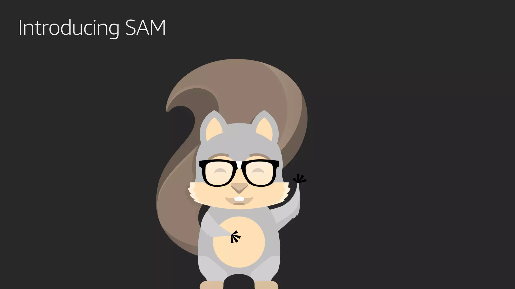 Introducing SAM
 