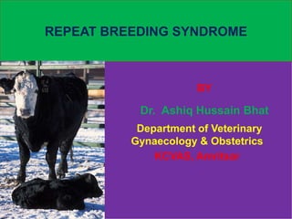 BY
Dr. Ashiq Hussain Bhat
Department of Veterinary
Gynaecology & Obstetrics
KCVAS, Amritsar
REPEAT BREEDING SYNDROME
 