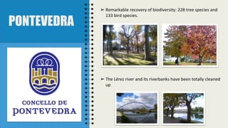 PONTEVEDRA
➢ Remarkable recovery of biodiversity: 228 tree species and
133 bird species.
➢ The Lérez river and its riverbanks have been totally cleaned
up
 