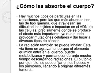 ¿Cómo las absorbe el cuerpo?
 Hay muchos tipos de partículas en las
radiaciones, pero las que más abundan son
las de tipo gamma, que atraviesan sin
dificultad los tejidos e impactan en el ADN de
las células, precisamente donde se produce
el efecto más importante, ya que puede
provocar mutaciones celulares y dar lugar a
diversos tipos de cáncer.
 La radiación también se puede inhalar. Esta
vía tiene un agravante, porque el elemento
químico entra en el cuerpo, puede
metabolizarse y permanecer durante mucho
tiempo descargando radiaciones. El plutonio,
por ejemplo, se puede fijar en los huesos y
los pulmones, llegando a originar diferentes
tumores.
 