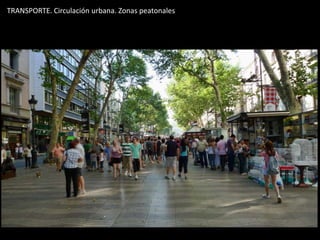 TRANSPORTE. Circulación urbana. Zonas peatonales
 