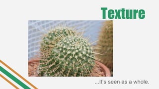 Texture
...It’s seen as a whole.
 