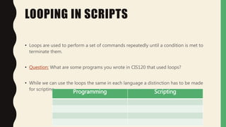 Repetition Structures | PPTX
