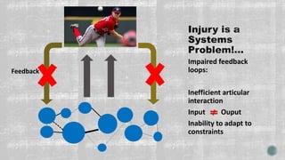 Impaired feedback
loops:
Inefficient articular
interaction
Input Ouput
Inability to adapt to
constraints
Feedback
 