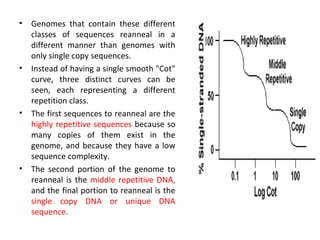 • Genomes that contain these different
classes of sequences reanneal in a
different manner than genomes with
only single copy sequences.
• Instead of having a single smooth "Cot"
curve, three distinct curves can be
seen, each representing a different
repetition class.
• The first sequences to reanneal are the
highly repetitive sequences because so
many copies of them exist in the
genome, and because they have a low
sequence complexity.
• The second portion of the genome to
reanneal is the middle repetitive DNA,
and the final portion to reanneal is the
single copy DNA or unique DNA
sequence.
 