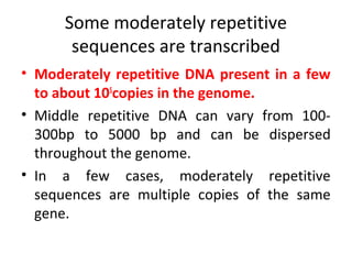 Some moderately repetitive
sequences are transcribed
• Moderately repetitive DNA present in a few
to about 105
copies in the genome.
• Middle repetitive DNA can vary from 100-
300bp to 5000 bp and can be dispersed
throughout the genome.
• In a few cases, moderately repetitive
sequences are multiple copies of the same
gene.
 