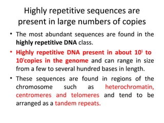 Highly repetitive sequences are
present in large numbers of copies
• The most abundant sequences are found in the
highly repetitive DNA class.
• Highly repetitive DNA present in about 105
to
107
copies in the genome and can range in size
from a few to several hundred bases in length.
• These sequences are found in regions of the
chromosome such as heterochromatin,
centromeres and telomeres and tend to be
arranged as a tandem repeats.
 