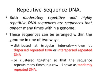Repetitive-Sequence DNA.
• Both moderately repetitive and highly
repetitive DNA sequences are sequences that
appear many times within a genome.
• These sequences can be arranged within the
genome in one of two ways:
– distributed at irregular intervals—known as
dispersed repeated DNA or interspersed repeated
DNA
– or clustered together so that the sequence
repeats many times in a row—known as tandemly
repeated DNA.
 