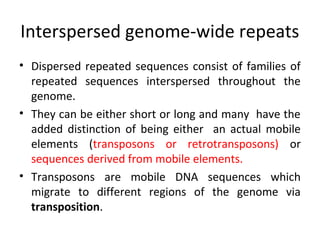 Interspersed genome-wide repeats
• Dispersed repeated sequences consist of families of
repeated sequences interspersed throughout the
genome.
• They can be either short or long and many have the
added distinction of being either an actual mobile
elements (transposons or retrotransposons) or
sequences derived from mobile elements.
• Transposons are mobile DNA sequences which
migrate to different regions of the genome via
transposition.
 