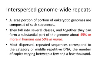 Interspersed genome-wide repeats
• A large portion of portion of eukaryotic genomes are
composed of such sequences.
• They fall into several classes, and together they can
form a substantial part of the genome about 45% or
more in humans and 50% in maize.
• Most dispersed, repeated sequences correspond to
the category of middle repetitive DNA, the number
of copies varying between a few and a few thousand.
 