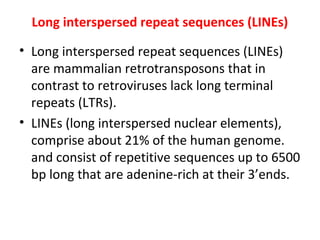 Long interspersed repeat sequences (LINEs)
• Long interspersed repeat sequences (LINEs)
are mammalian retrotransposons that in
contrast to retroviruses lack long terminal
repeats (LTRs).
• LINEs (long interspersed nuclear elements),
comprise about 21% of the human genome.
and consist of repetitive sequences up to 6500
bp long that are adenine-rich at their 3’ends.
 