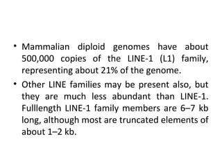 • Mammalian diploid genomes have about
500,000 copies of the LINE-1 (L1) family,
representing about 21% of the genome.
• Other LINE families may be present also, but
they are much less abundant than LINE-1.
Fulllength LINE-1 family members are 6–7 kb
long, although most are truncated elements of
about 1–2 kb.
 
