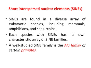 Short interspersed nuclear elements (SINEs)
• SINEs are found in a diverse array of
eukaryotic species, including mammals,
amphibians, and sea urchins.
• Each species with SINEs has its own
characteristic array of SINE families.
• A well-studied SINE family is the Alu family of
certain primates.
 