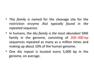• This family is named for the cleavage site for the
restriction enzyme AluI typically found in the
repeated sequence.
• In humans, the Alu family is the most abundant SINE
family in the genome, consisting of 200–300-bp
sequences repeated as many as a million times and
making up about 10% of the human genome.
• One Alu repeat is located every 5,000 bp in the
genome, on average.
 