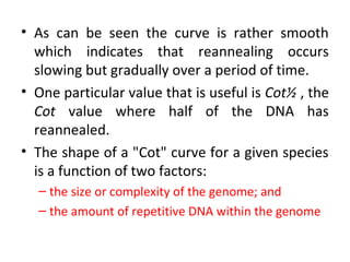 • As can be seen the curve is rather smooth
which indicates that reannealing occurs
slowing but gradually over a period of time.
• One particular value that is useful is Cot½ , the
Cot value where half of the DNA has
reannealed.
• The shape of a "Cot" curve for a given species
is a function of two factors:
– the size or complexity of the genome; and
– the amount of repetitive DNA within the genome
 