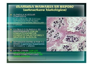 GLANDULA MAMARIA EN REPOSO
     (estructura histológica
                 histológica)
 GLÁNDULA ALVEOLAR
 COMPUESTA.
15-20 LOBULOS, DE 2-4.5 mm
15-               2-
 SEPARADOS POR TEJIDO
 CONECTIVO INTERLOBULILLAR
 Y GRASA

C/LÓBULO O GLÁNDULA, ES
INDEPENDIENTE CON UN
CONDUCTO EXCRETOR
(CONDUCTO GALÁCTOFORO) Y
GRUPOS DE ALVEOLOS.

SEPARADOS ENTRE SI POR T.C.
DENSO (Ligamentos Suspensorios
de Cooper) y t. adiposo.

ENTRE C/RAMA CON LOS
GRUPOS DE ALVEOLOS HAY
TEJIDO CONECTIVO LAXO SIN
TEJIDO ADIPOSO
 