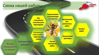 Rephalt vip presentation