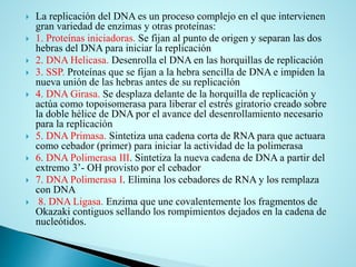  La replicación del DNA es un proceso complejo en el que intervienen
gran variedad de enzimas y otras proteínas:
 1. Proteínas iniciadoras. Se fijan al punto de origen y separan las dos
hebras del DNA para iniciar la replicación
 2. DNA Helicasa. Desenrolla el DNA en las horquillas de replicación
 3. SSP. Proteínas que se fijan a la hebra sencilla de DNA e impiden la
nueva unión de las hebras antes de su replicación
 4. DNA Girasa. Se desplaza delante de la horquilla de replicación y
actúa como topoisomerasa para liberar el estrés giratorio creado sobre
la doble hélice de DNA por el avance del desenrollamiento necesario
para la replicación
 5. DNA Primasa. Sintetiza una cadena corta de RNA para que actuara
como cebador (primer) para iniciar la actividad de la polimerasa
 6. DNA Polimerasa III. Sintetiza la nueva cadena de DNA a partir del
extremo 3’- OH provisto por el cebador
 7. DNA Polimerasa I. Elimina los cebadores de RNA y los remplaza
con DNA
 8. DNA Ligasa. Enzima que une covalentemente los fragmentos de
Okazaki contiguos sellando los rompimientos dejados en la cadena de
nucleótidos.
 