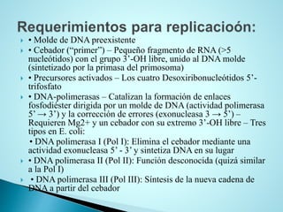  • Molde de DNA preexistente
 • Cebador (“primer”) – Pequeño fragmento de RNA (>5
nucleótidos) con el grupo 3’-OH libre, unido al DNA molde
(sintetizado por la primasa del primosoma)
 • Precursores activados – Los cuatro Desoxiribonucleótidos 5’-
trifosfato
 • DNA-polimerasas – Catalizan la formación de enlaces
fosfodiéster dirigida por un molde de DNA (actividad polimerasa
5’ → 3’) y la corrección de errores (exonucleasa 3 → 5’) –
Requieren Mg2+ y un cebador con su extremo 3’-OH libre – Tres
tipos en E. coli:
• DNA polimerasa I (Pol I): Elimina el cebador mediante una
actividad exonucleasa 5’ - 3’ y sintetiza DNA en su lugar
 • DNA polimerasa II (Pol II): Función desconocida (quizá similar
a la Pol I)
 • DNA polimerasa III (Pol III): Síntesis de la nueva cadena de
DNA a partir del cebador
 