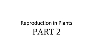 Reproduction in Plants
PART 2
 