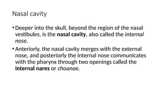 repiratory system-1.pptx hsjsjwjsjwuehdbd | PPTX