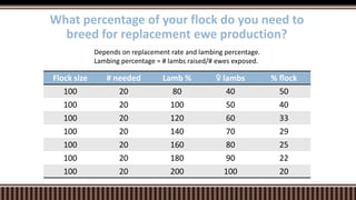 Flock size # needed Lamb % ♀ lambs % flock
100 20 80 40 50
100 20 100 50 40
100 20 120 60 33
100 20 140 70 29
100 20 160 80 25
100 20 180 90 22
100 20 200 100 20
What percentage of your flock do you need to
breed for replacement ewe production?
Depends on replacement rate and lambing percentage.
Lambing percentage = # lambs raised/# ewes exposed.
 