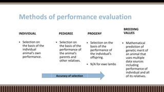  Selection on
the basis of the
performance of
the animal’s
parents and
other relatives.
PEDIGREE
 Selection on
the basis of the
individual
animal’s own
performance.
INDIVIDUAL
Methods of performance evaluation
PROGENY
 Selection on the
basis of the
performance of
the individual’s
offspring.
 N/A for ewe lambs
 Mathematical
prediction of
genetic merit of
an animal that
uses multiple
data sources
including
performance of
individual and all
of its relatives.
BREEDING
VALUES
Accuracy of selection
 
