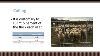 Year Percent culled
2001 18.3
2011 14.0
 It is customary to
cull ~15 percent of
the flock each year.
Culling
USDA APHIS National Animal Health Monitoring Service, April 2014
 