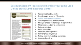 1. Accelerated lambing cycles
2. Breeding ewe lambs at 7-9 months
3. Culling underperforming ewes
4. Disease prevention and treatment
5. Manage for seasonal changes in reproduction
6. Match reproduction to environment
7. Optimal nutrition
8. Reduce lamb loss
9. Select for prolific genetics
10. Test for pregnancy status
11. Testing rams for breeding soundness
12. Use crossbreeding
Best Management Practices to Increase Your Lamb Crop
United States Lamb Resource Center
http://lambresourcecenter.com/production-resources/best-practice-resources/
 